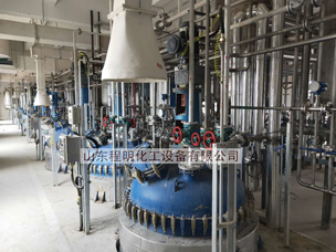 API workhouse of pharmaceutical factory in Shandong